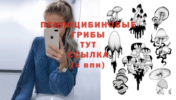 героин Абаза