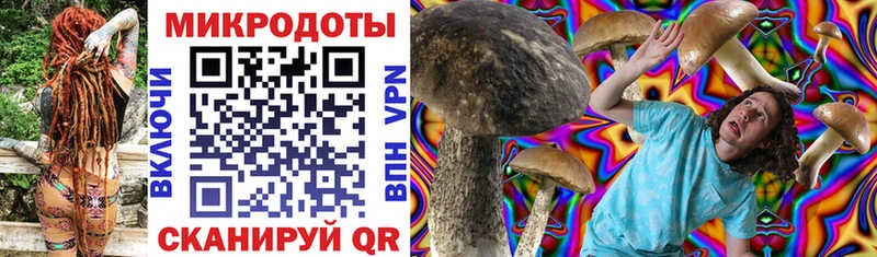 Псилоцибиновые грибы мицелий  купить закладку  гидра зеркало  darknet телеграм  Ковдор 